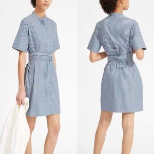 Everlane blue striped collarless shirtdress (4)